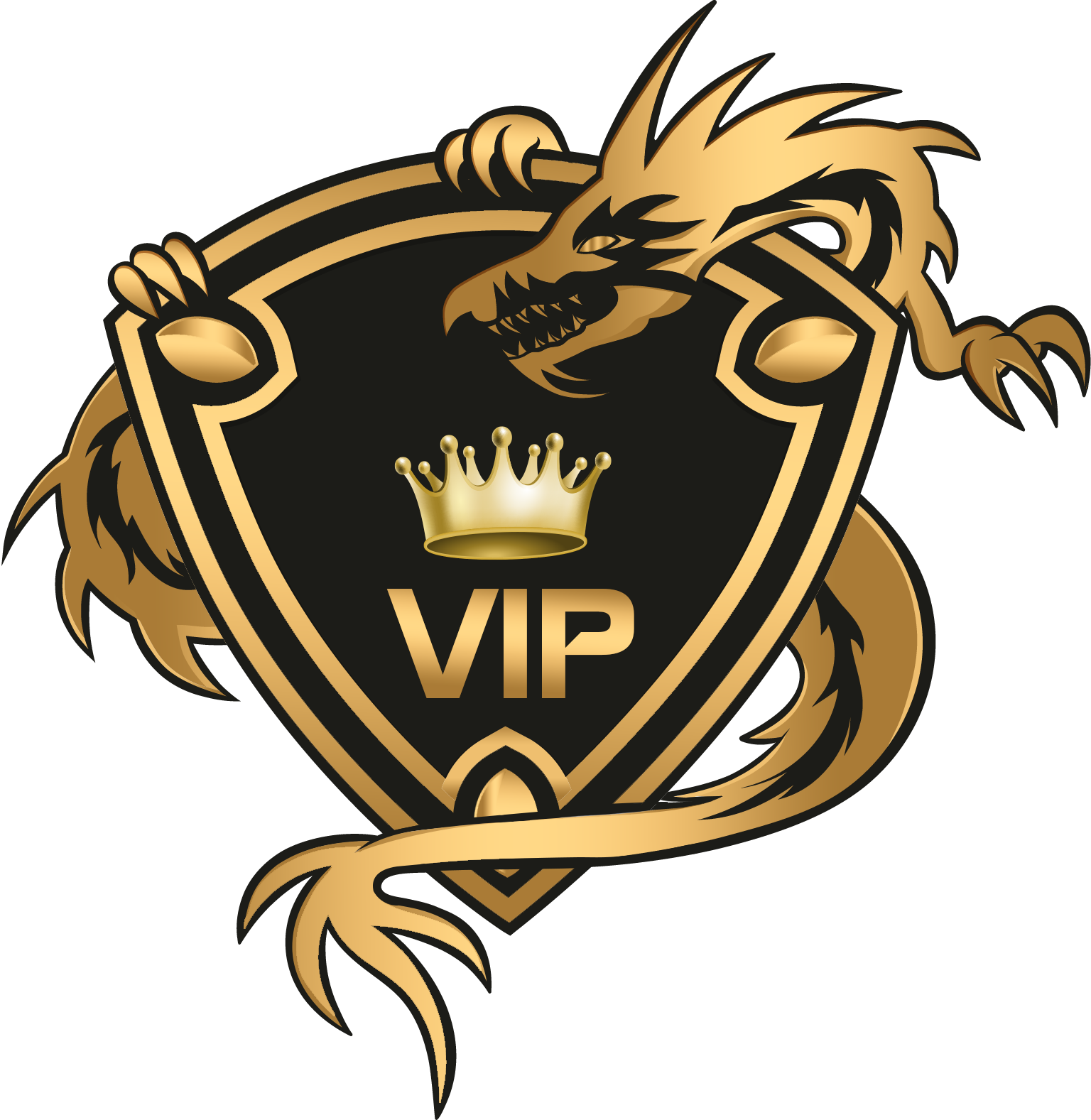 سرویس VIP